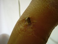 A_photo4.JPG 200x150 44KB